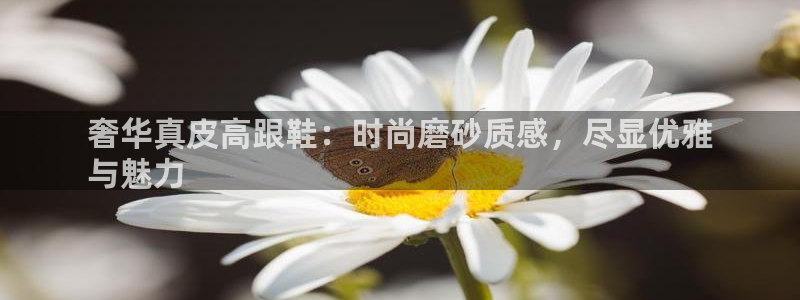 ag真人官方网站是什么